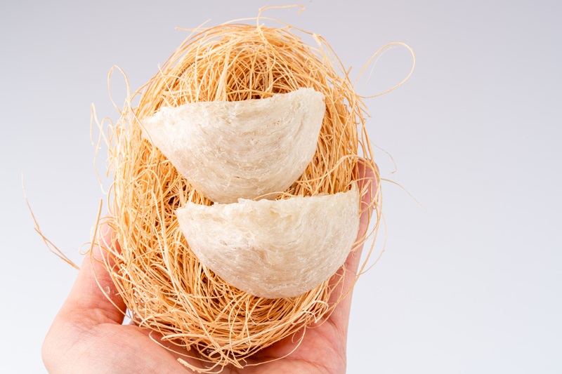 How to Store and Preserve Edible Bird’s Nests at Home