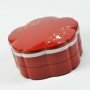 Picnic Bento Box