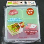 Sandwich Container with food cups
