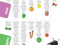 Fruit and Vegetable Kids Lunchbox Ideas Printable